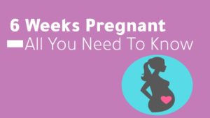 6 Weeks Pregnant