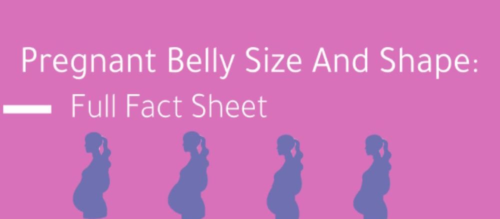 Pregnancy-Belly-Size-Shape