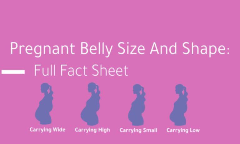 Pregnant Belly Size And Shape Full Fact Sheet